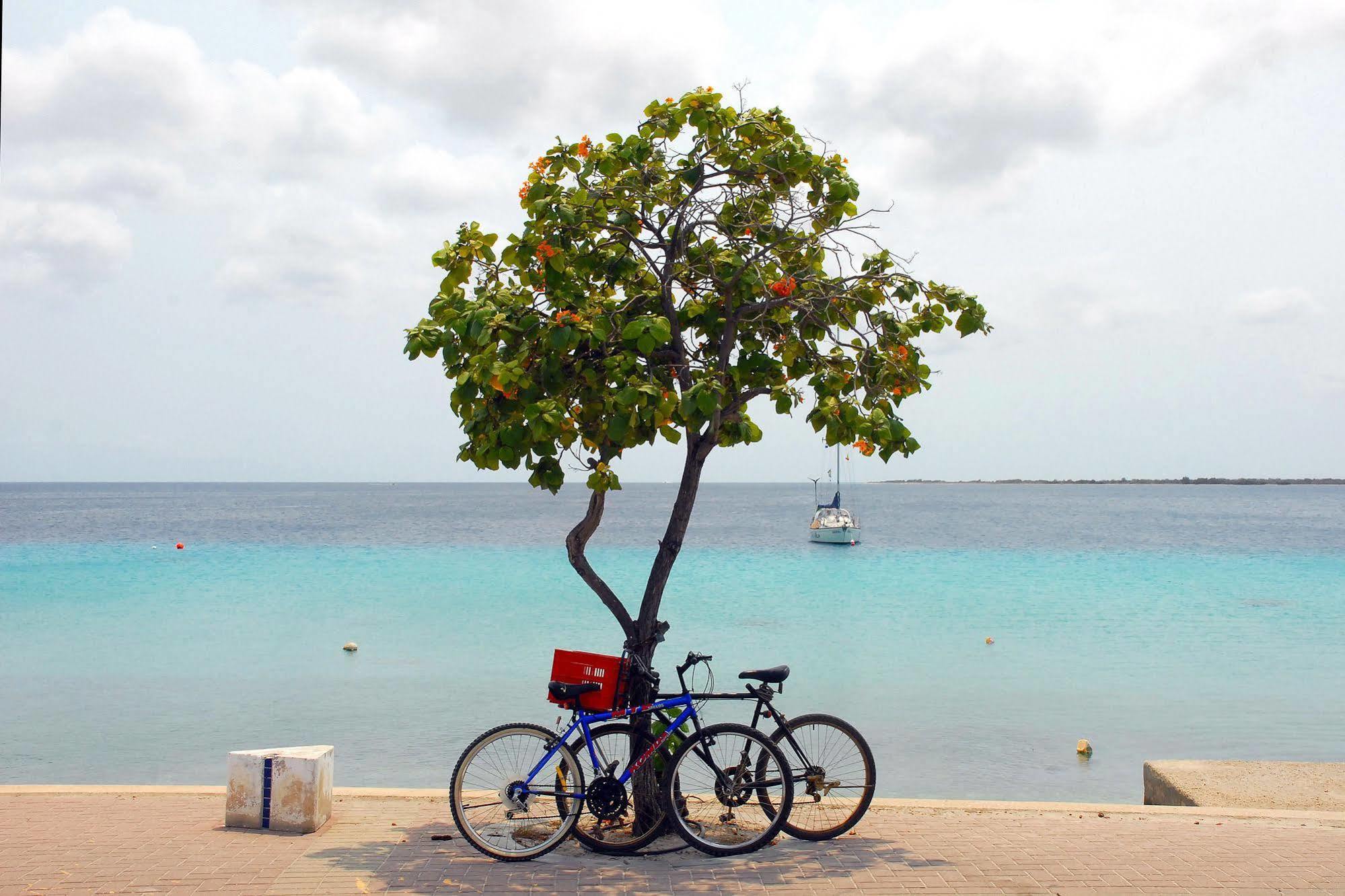 City Inn Bonaire Eksteriør bilde